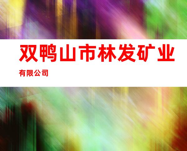 双鸭山市林发矿业有限公司