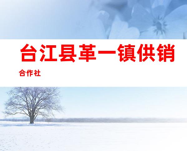 台江县革一镇供销合作社