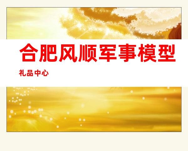 合肥风顺军事模型礼品中心