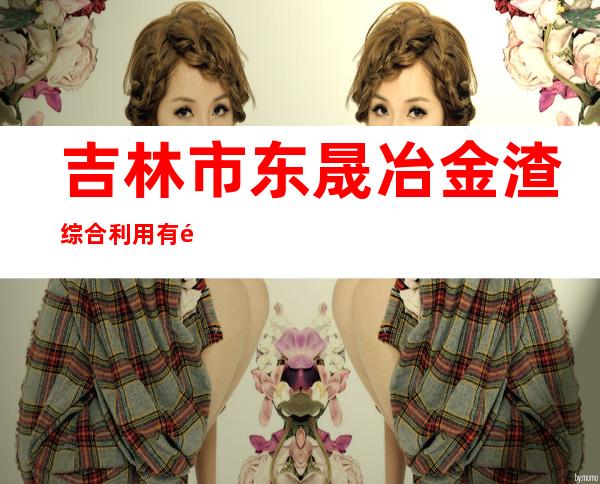 吉林市东晟冶金渣综合利用有限公司