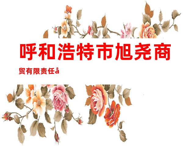 呼和浩特市旭尧商贸有限责任公司