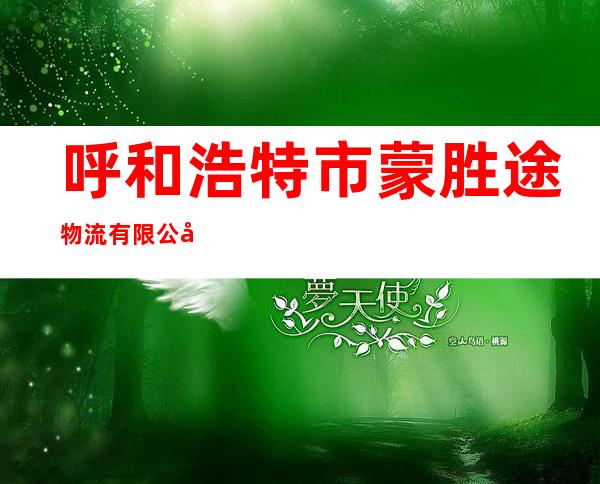 呼和浩特市蒙胜途物流有限公司