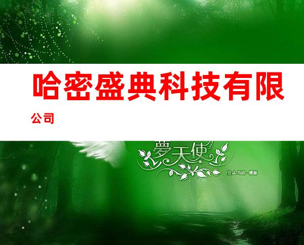 哈密盛典科技有限公司