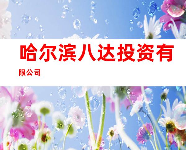 哈尔滨八达投资有限公司