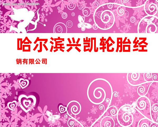 哈尔滨兴凯轮胎经销有限公司