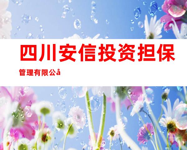 四川安信投资担保管理有限公司