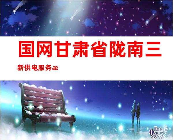 国网甘肃省陇南三新供电服务有限公司成县分公司