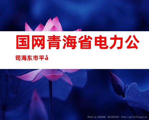 国网青海省电力公司海东市平安区供电公司三合供电营业所