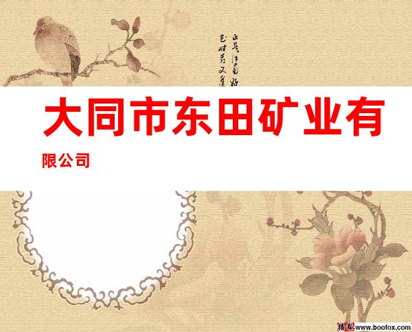 大同市东田矿业有限公司