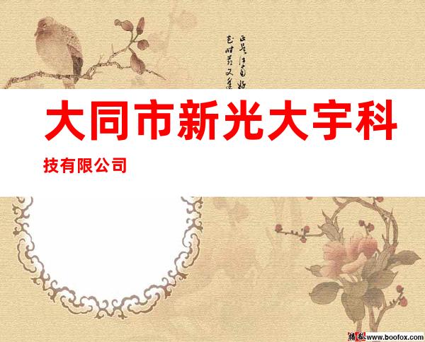 大同市新光大宇科技有限公司