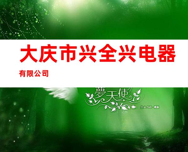大庆市兴全兴电器有限公司