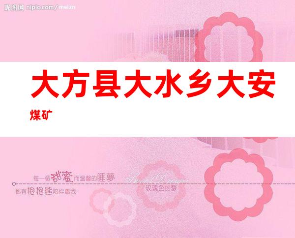 大方县大水乡大安煤矿