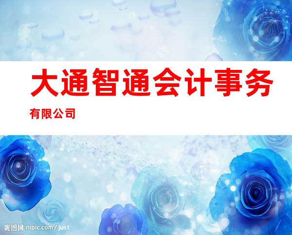 大通智通会计事务有限公司