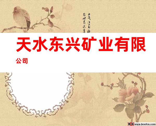 天水东兴矿业有限公司