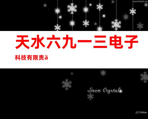 天水六九一三电子科技有限责任公司