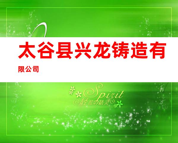 太谷县兴龙铸造有限公司