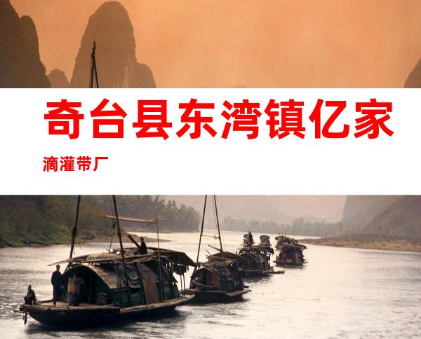 奇台县东湾镇亿家滴灌带厂