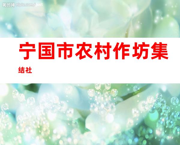宁国市农村作坊集结社
