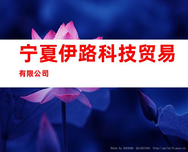 宁夏伊路科技贸易有限公司