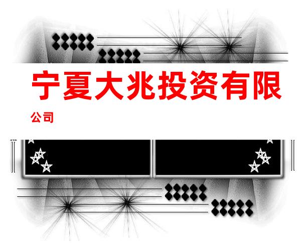 宁夏大兆投资有限公司