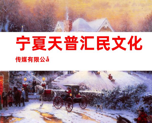 宁夏天普汇民文化传媒有限公司