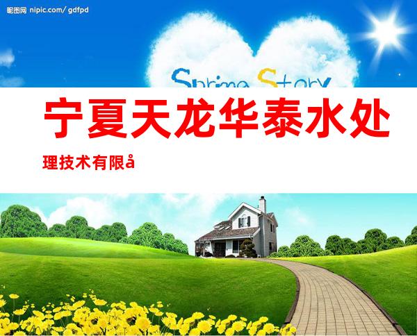 宁夏天龙华泰水处理技术有限公司