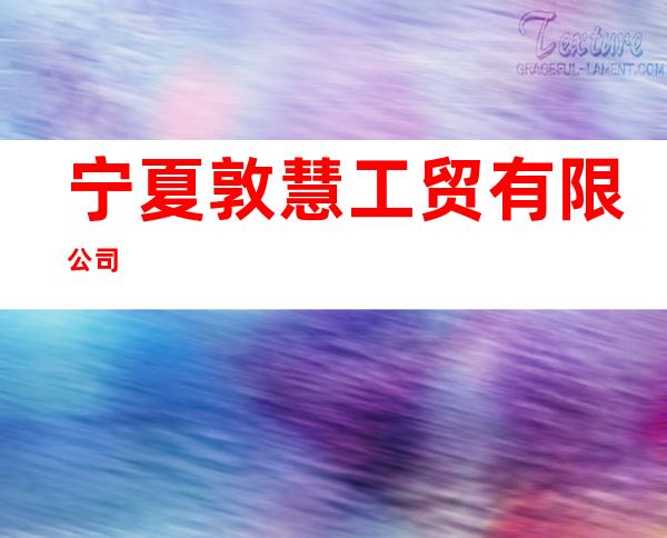 宁夏敦慧工贸有限公司