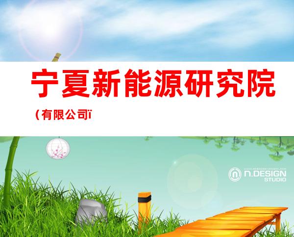 宁夏新能源研究院（有限公司）
