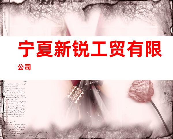 宁夏新锐工贸有限公司