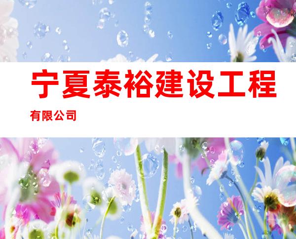 宁夏泰裕建设工程有限公司