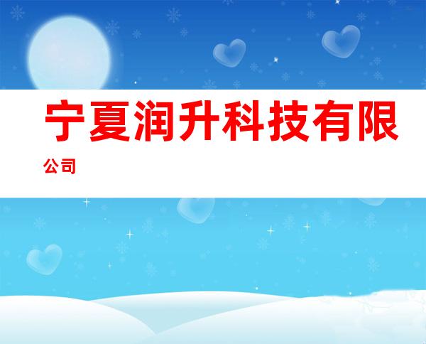 宁夏润升科技有限公司