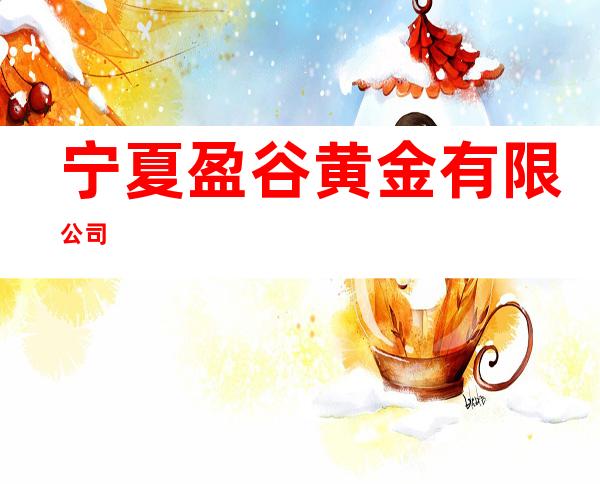 宁夏盈谷黄金有限公司