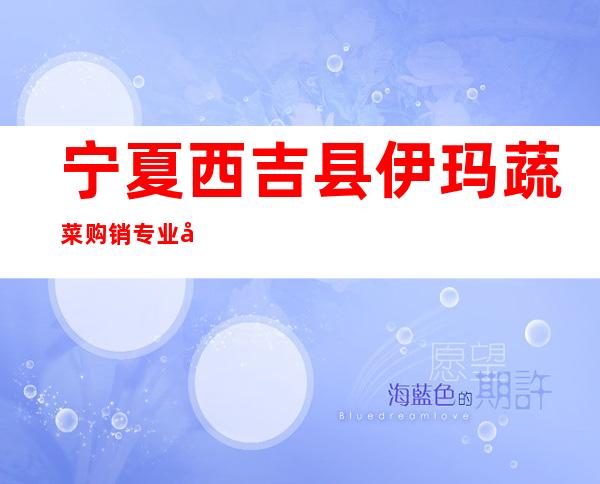 宁夏西吉县伊玛蔬菜购销专业合作社