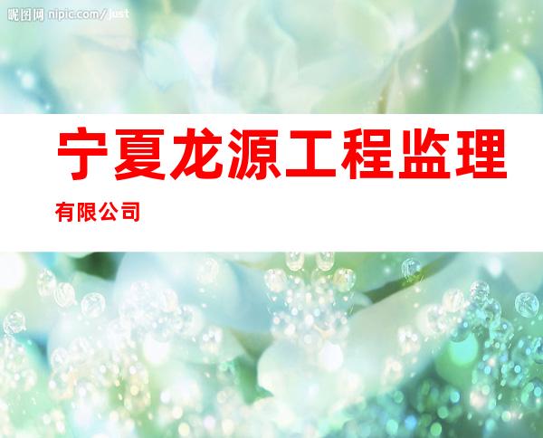 宁夏龙源工程监理有限公司