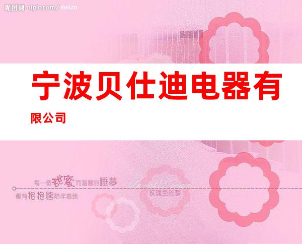 宁波贝仕迪电器有限公司