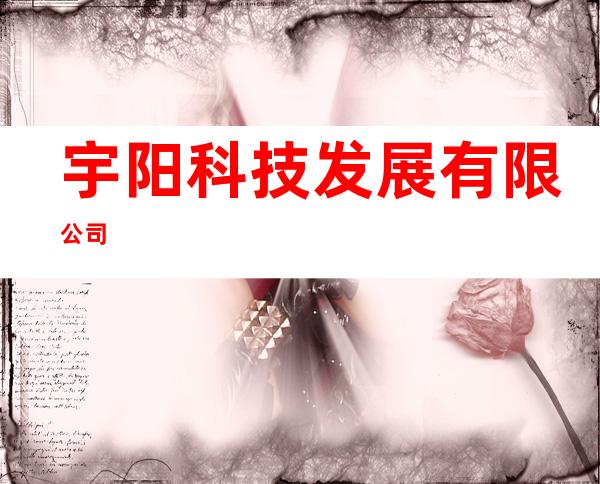 宇阳科技发展有限公司