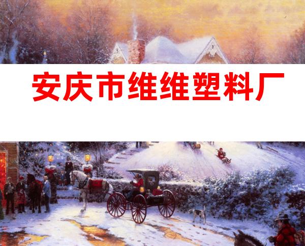 安庆市维维塑料厂