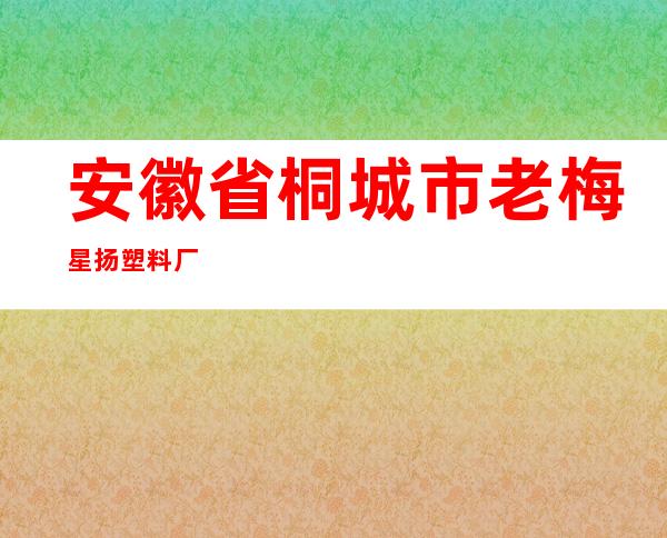 安徽省桐城市老梅星扬塑料厂