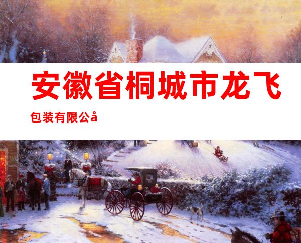 安徽省桐城市龙飞包装有限公司