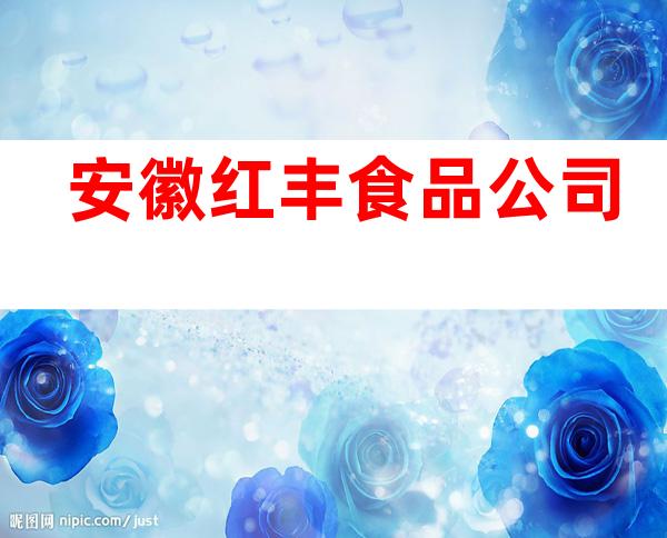 安徽红丰食品公司