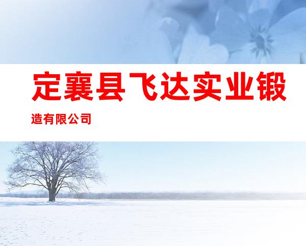 定襄县飞达实业锻造有限公司
