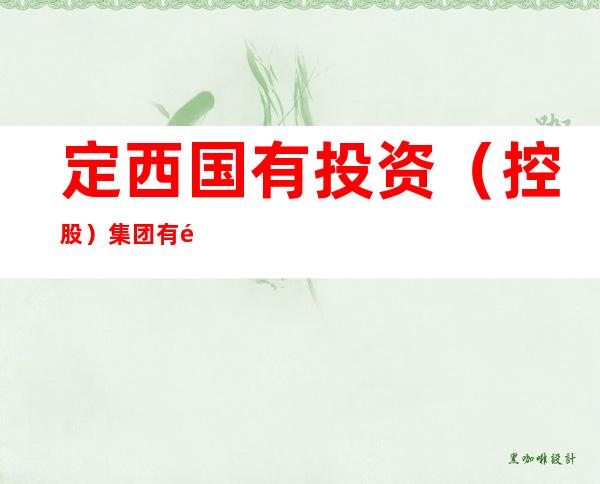 定西国有投资（控股）集团有限公司