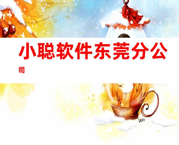 小聪软件东莞分公司