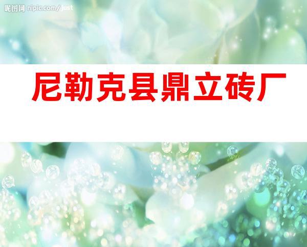 尼勒克县鼎立砖厂