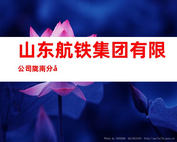 山东航铁集团有限公司陇南分公司