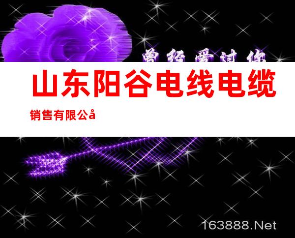 山东阳谷电线电缆销售有限公司青海分公司