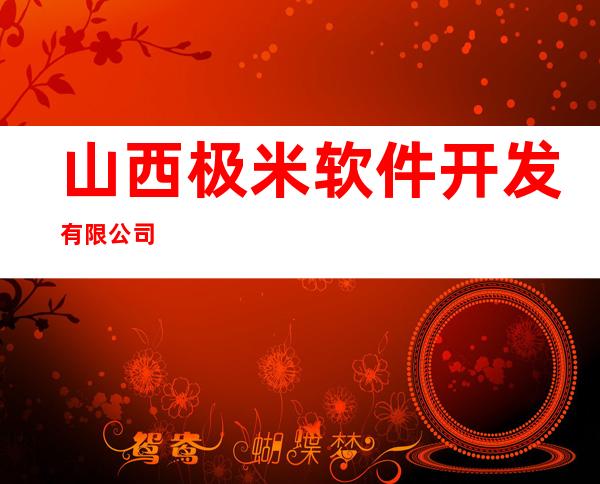 山西极米软件开发有限公司