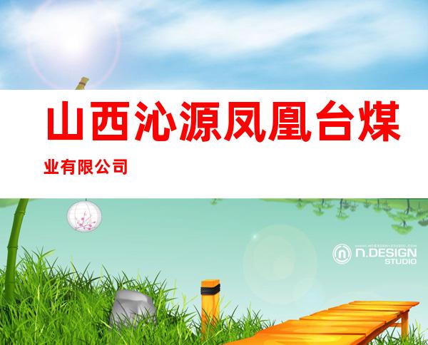 山西沁源凤凰台煤业有限公司
