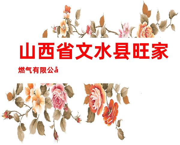 山西省文水县旺家燃气有限公司