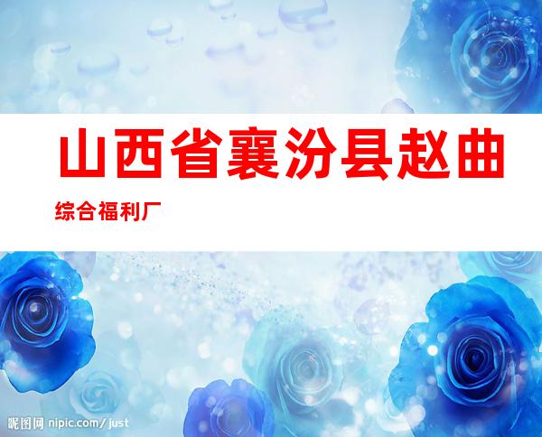山西省襄汾县赵曲综合福利厂
